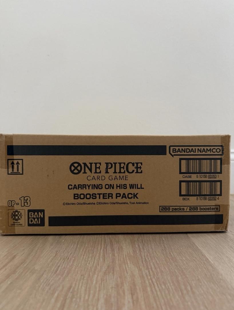 OP-13 case